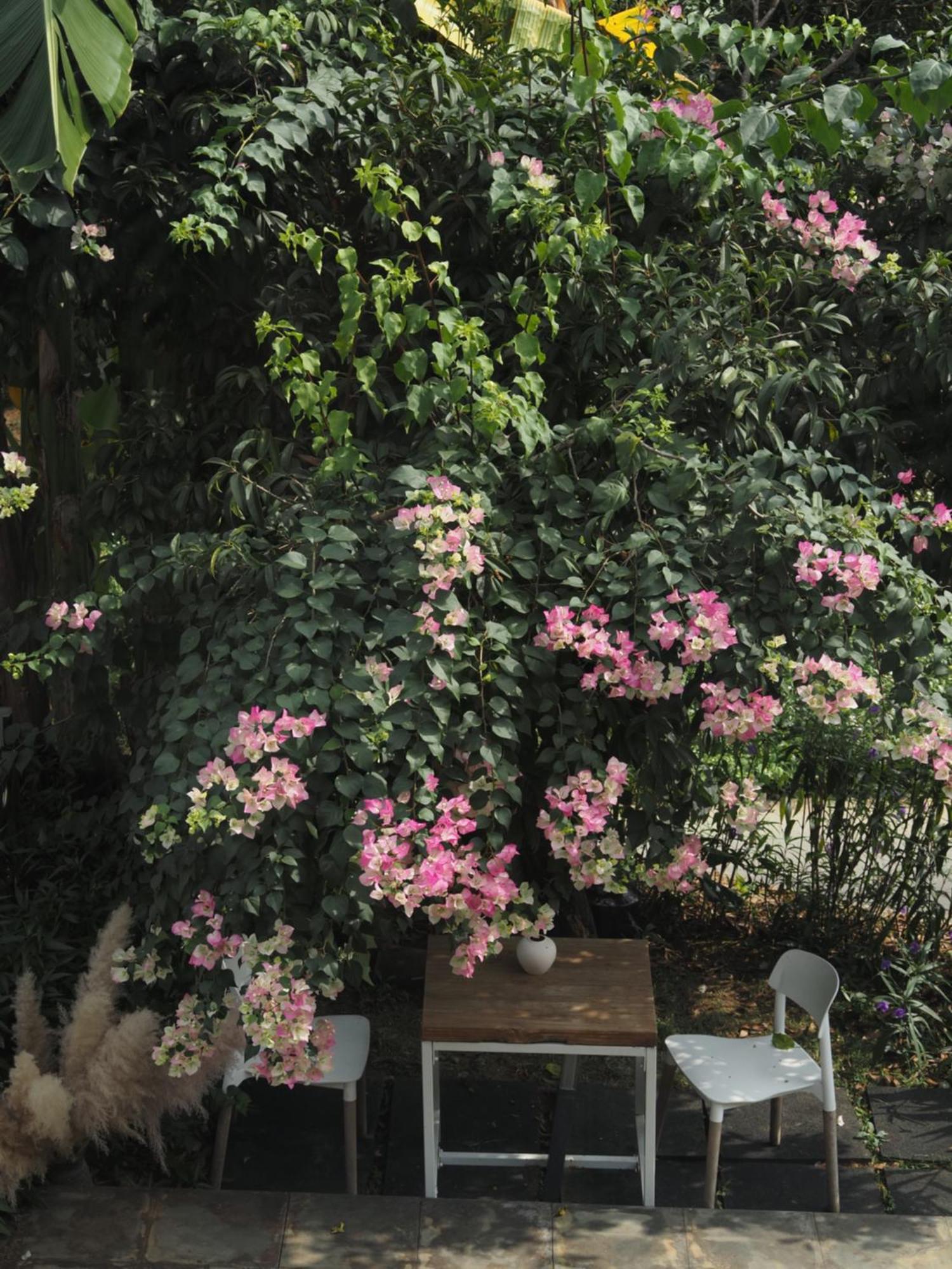 Yangshuo Hillside Homestay Eksteriør billede