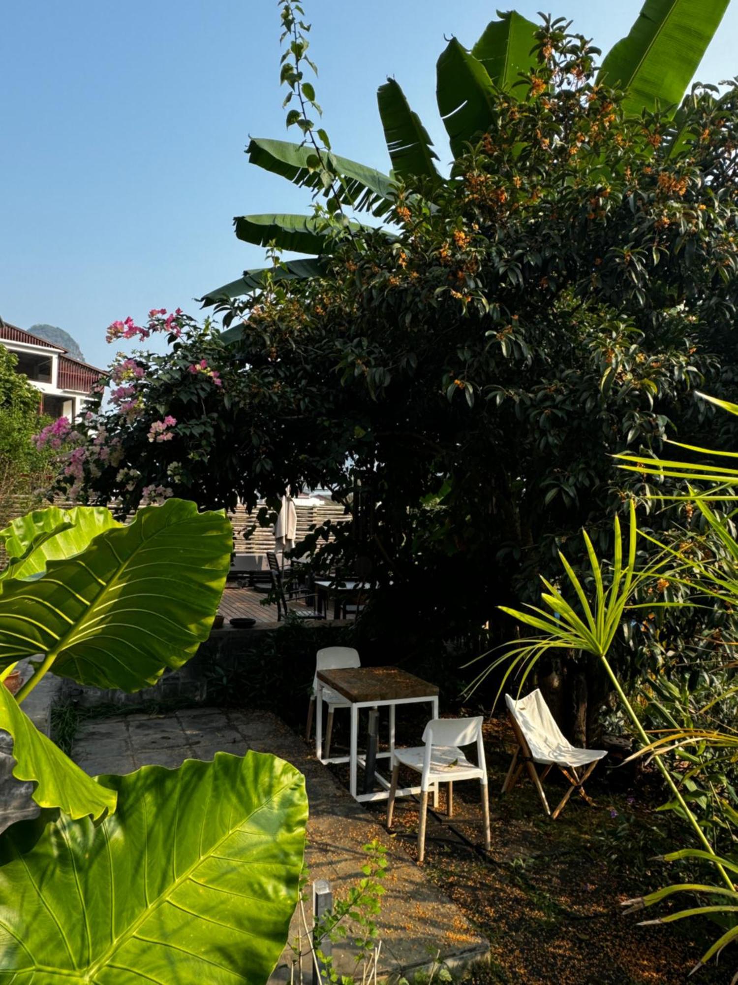 Yangshuo Hillside Homestay Eksteriør billede