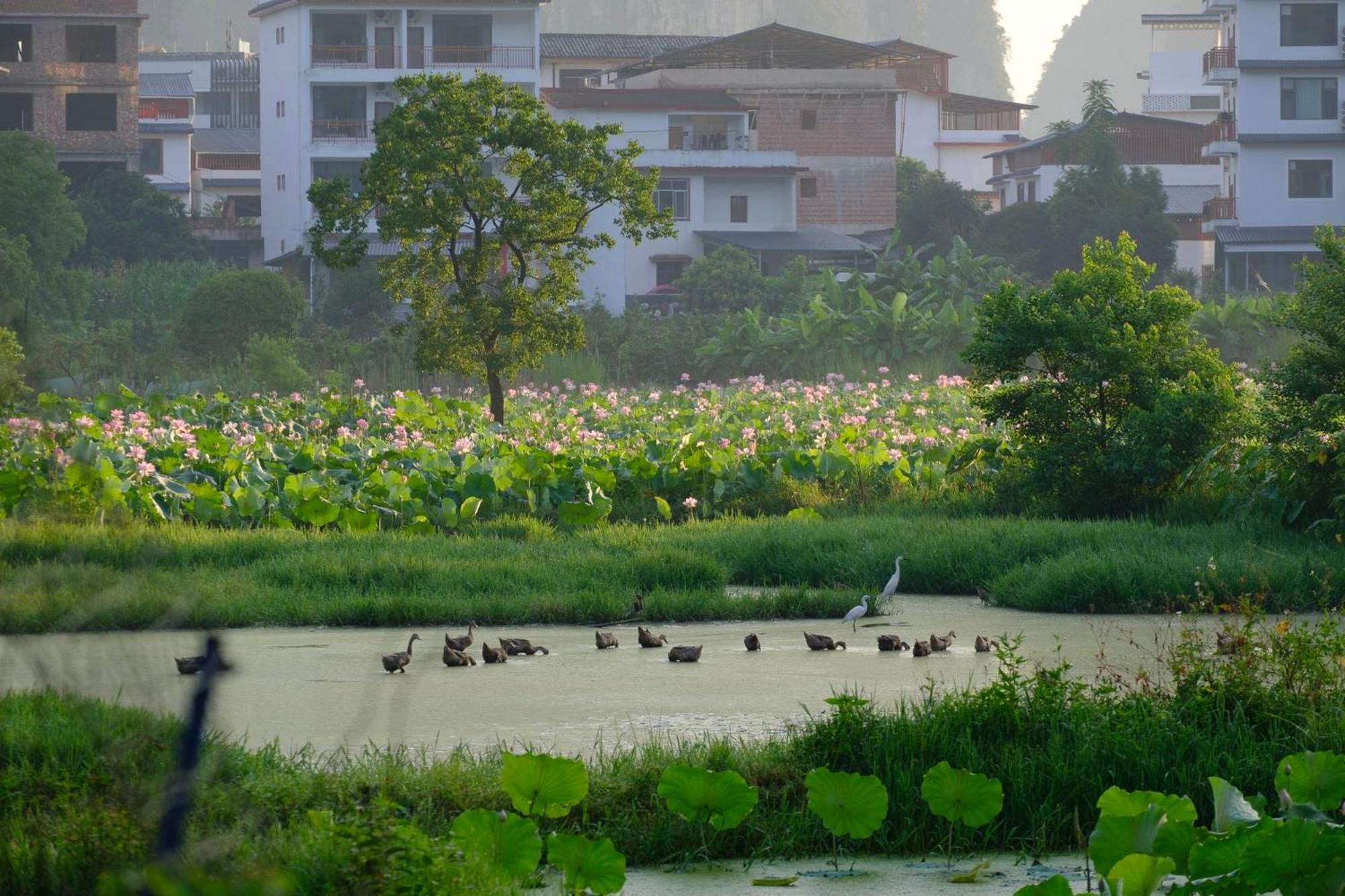 Yangshuo Hillside Homestay Eksteriør billede