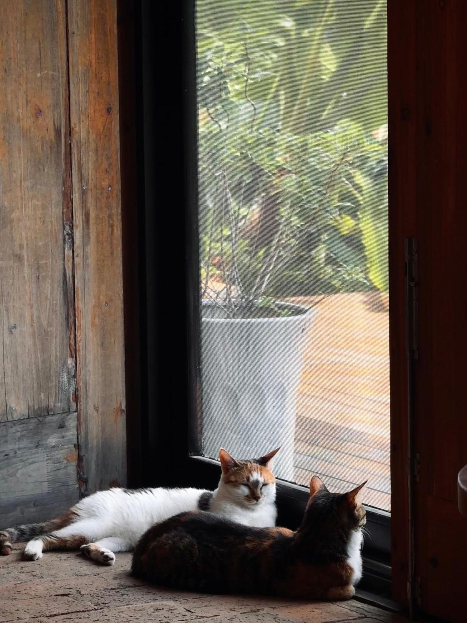 Yangshuo Hillside Homestay Eksteriør billede
